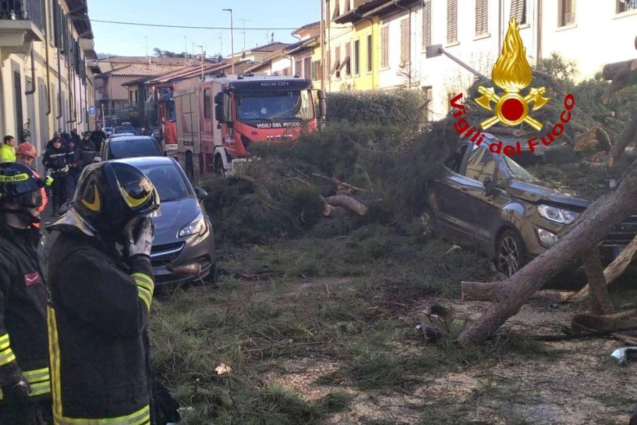 In Toscana +23,4% interventi per la messa in sicurezza degli alberi, pesa la crisi climatica