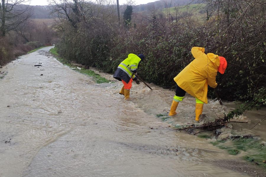 Quale ruolo per l’ingegneria naturalistica nel contrasto alle alluvioni in Toscana