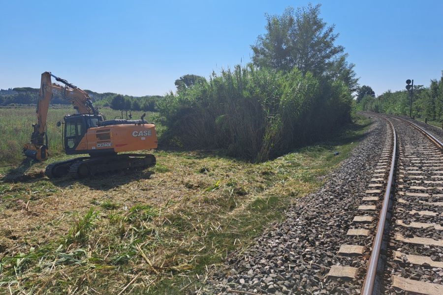 Verso il ripristino della linea ferroviaria Volterra-Pisa via Collesavetti: un impegno condiviso