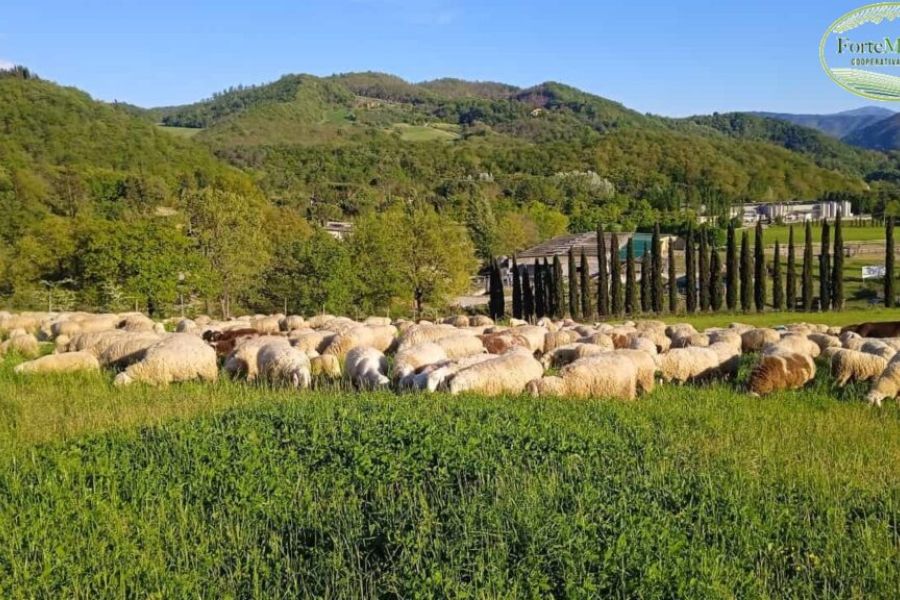In Regione Toscana si è aperto uno spiraglio per il rilancio di ForteMugello