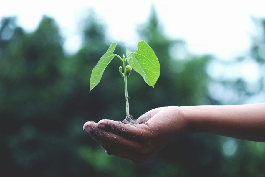 Nasce in Toscana il tavolo regionale dell’agrobiodiversità, a breve la firma del protocollo di intesa
