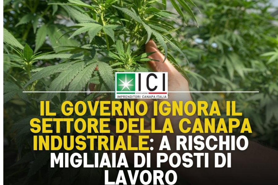 Anche Coldiretti contro il Ddl sicurezza: cancella filiera della canapa da mezzo miliardo